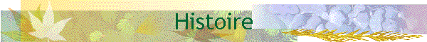 Histoire
